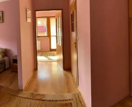 Pokoje Goscinne Przy Wyciagu Harenda Homestay Zakopane